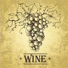 Wine label with grapes . bunch of grapes