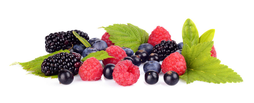 Studio Shot Assorted Various Berries Isolated White Background