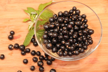 schwarze Johannisbeeren