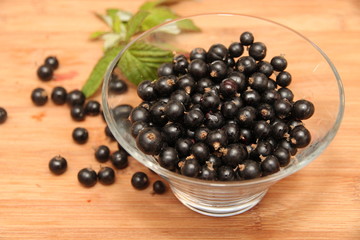 schwarze Johannisbeeren