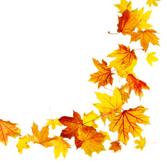Naklejka na ściany i meble Colorful autumn leaves falling isolated on white
