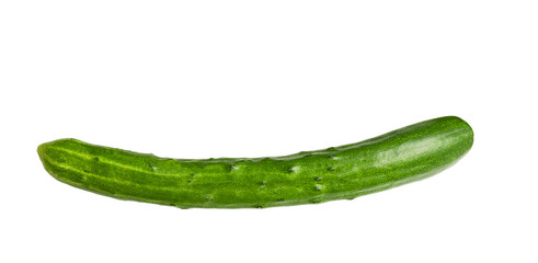 Cucumber