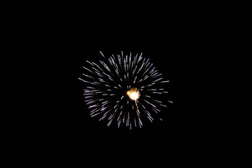Fireworks in the night sky