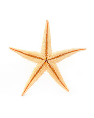 Starfish