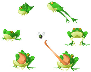 Obraz premium Frog Cartoon Design Element Set