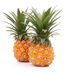 Pineapple tropical fruit or ananas