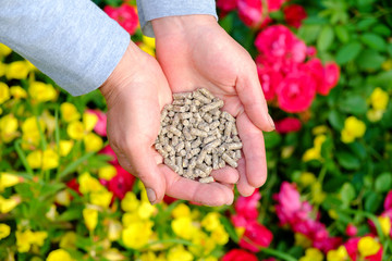 Hands with fertilizer