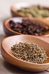 Spices set.Various seasonings for cooking, anise, cardamom