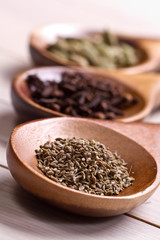 Spices set.Various seasonings for cooking, anise, cardamom