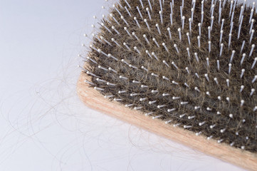 Haarbürste voller Haare wegen Alopezie heller Hintergrund
