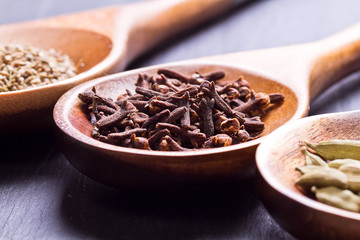 Spices set.Various seasonings for cooking, anise, cardamom