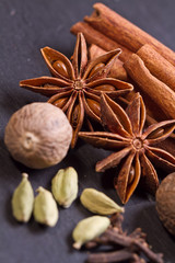 Spices set.Various seasonings for cooking, anise, cardamom
