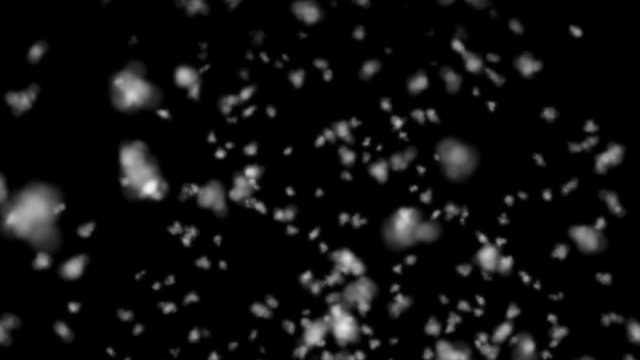 Fluffly Snowflakes with Black Background