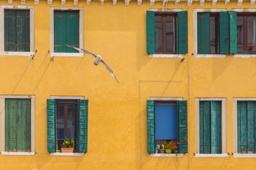 Rustic windows on european old homes