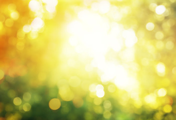 Obraz premium autumn forest bokeh