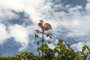 Gallo segnavento