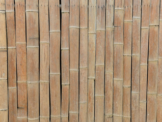 old dry brown bamboo background