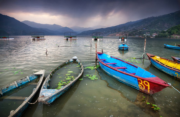 Naklejka na ściany i meble Boats near Pokhara lake