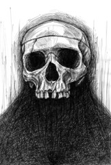 Skull Drawing