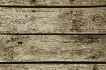 Fototapeta premium Wood texture