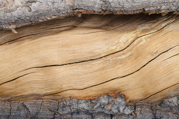frame of cracked wood texture for background