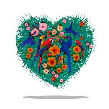 Macaw parrots on heart background. Hand drawn image.