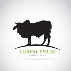 Vector image of an cow on white background