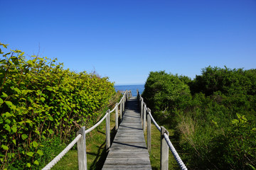 Fototapeta na wymiar Wooden path to the ocean