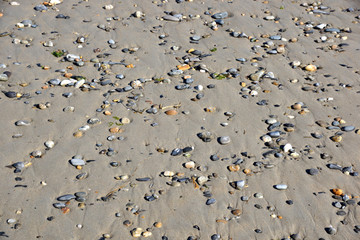 Pebble rocks in the sand