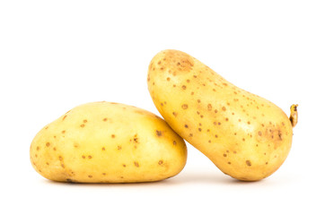 Potato