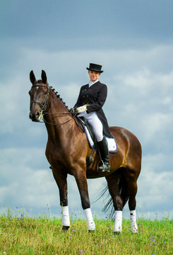 Woman riding a horse on the hill. Equestrian sport - dressage.