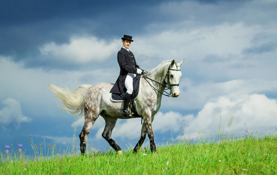 Woman riding a horse on the hill. Equestrian sport - dressage.