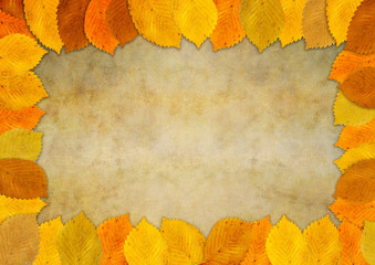 Naklejka na ściany i meble Autumn leaf frame