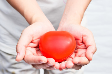 Heart in heart hands