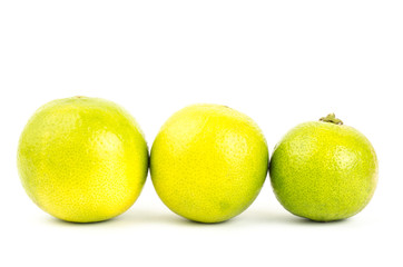 Lime