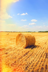 Straw bales in a field with blue sky