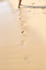Fototapeta na wymiar Huellas en la playa