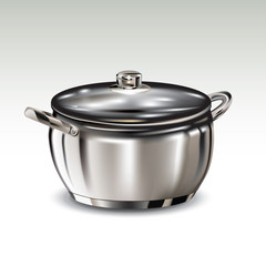 Stainless steel pot