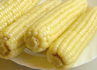 Closeup of sweet boiled corn