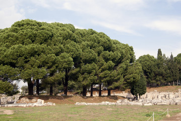 Pinias and the ruins