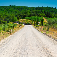 Road in Tuscany