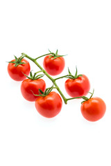 Tomato isolated on white