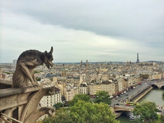 Fototapeta na wymiar View from Notre Dame de Paris