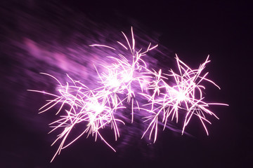 Wonderful purple star fireworks shining at night background