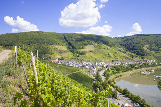 Senheim an der Mosel