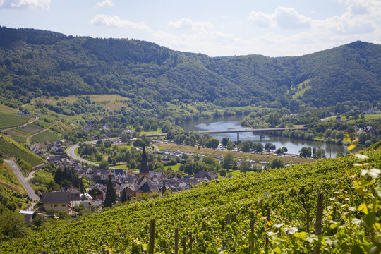 Senheim an der Mosel
