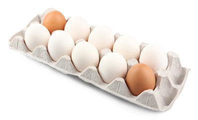 Different eggs in carton pack isolated on white
