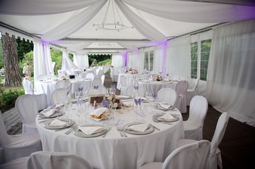 wedding party