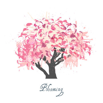 Apple tree blossom sketch