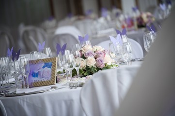 wedding party